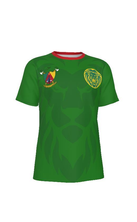 Cameroon Indomitable Lions Soccer Jersey – Green African Athletic Eyebird Football Tee
