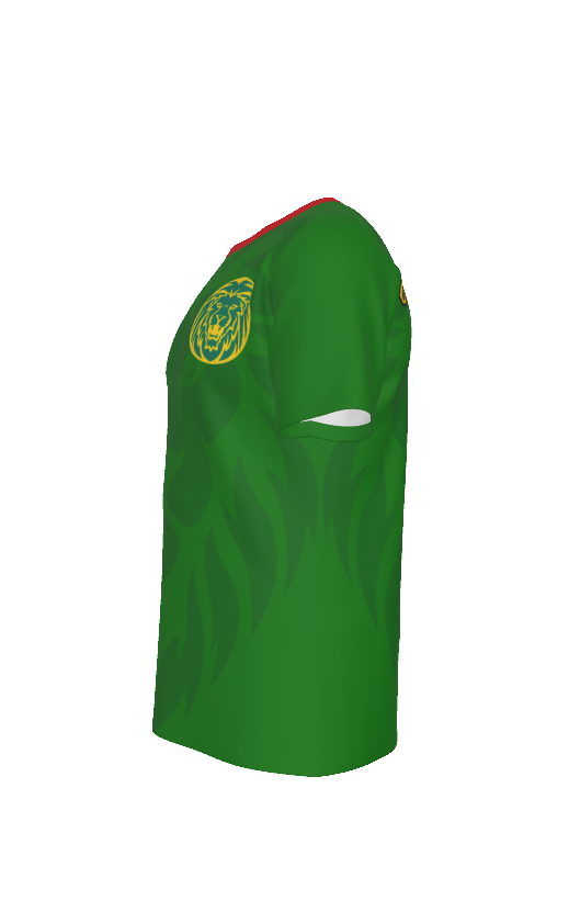 Cameroon Indomitable Lions Soccer Jersey – Green African Athletic Eyebird Football Tee