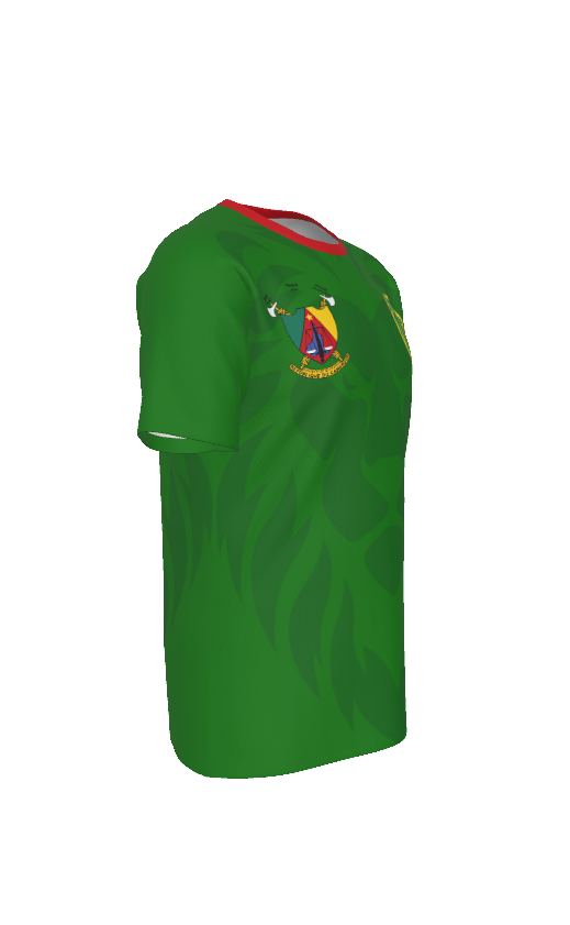 Cameroon Indomitable Lions Soccer Jersey – Green African Athletic Eyebird Football Tee
